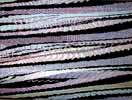 Wave Pattern 2