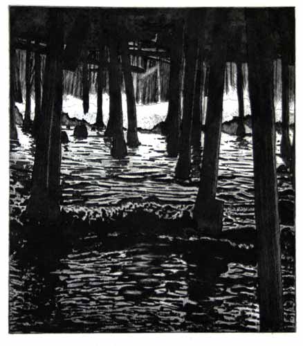 Under the Pier