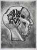 John's Head