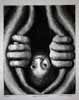Apprehension